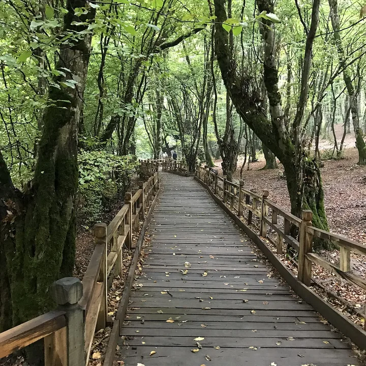 Alangdarreh Forest Park in Golestan