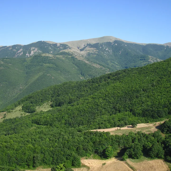 Arasbaran Forests in East Azerbaijan
