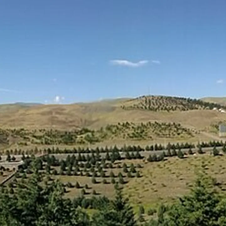 Barajin Forest Park in Qazvin