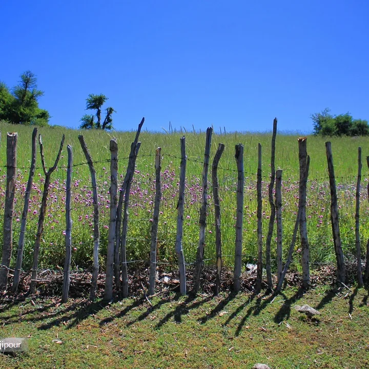 Dorfak in Gilan