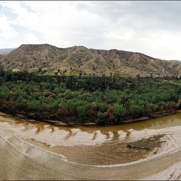Golubardakan Forest in Bushehr