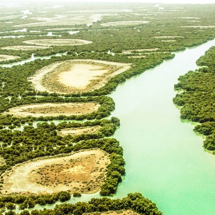 Hara Biosphere Reserve in Hormozgan