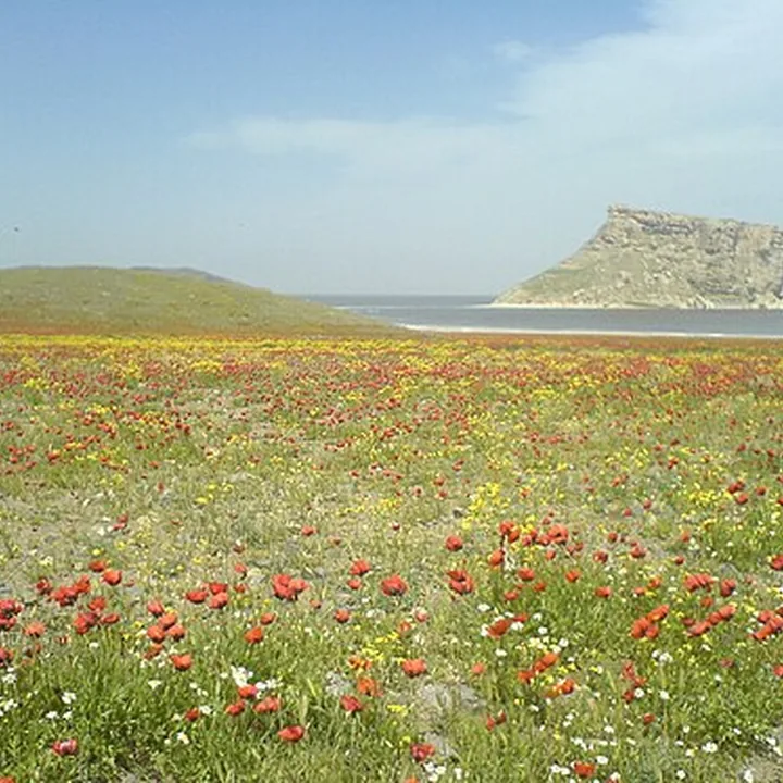کاظم داشی in West Azerbaijan
