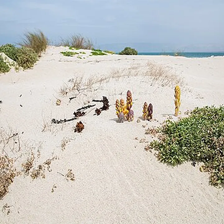 Shidvar Island in Hormozgan