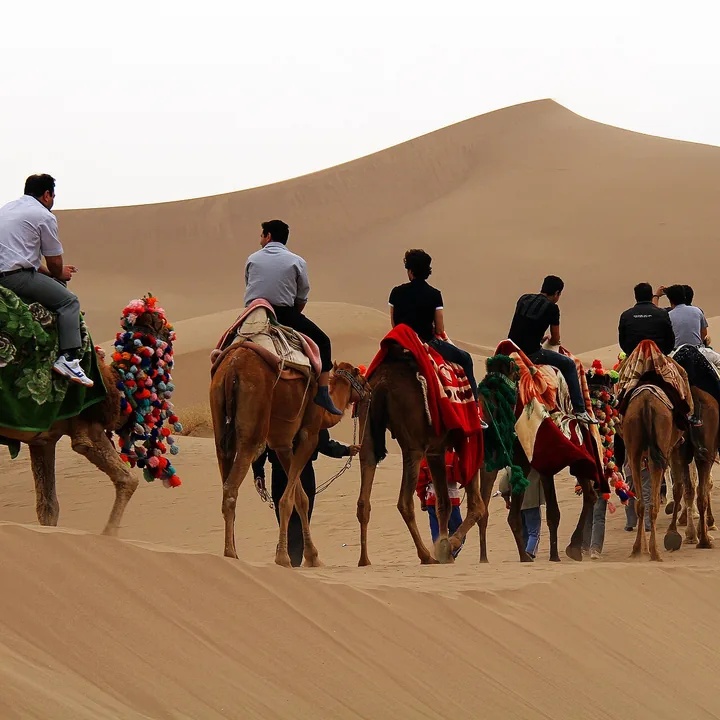 Caracal Desert in Yazd