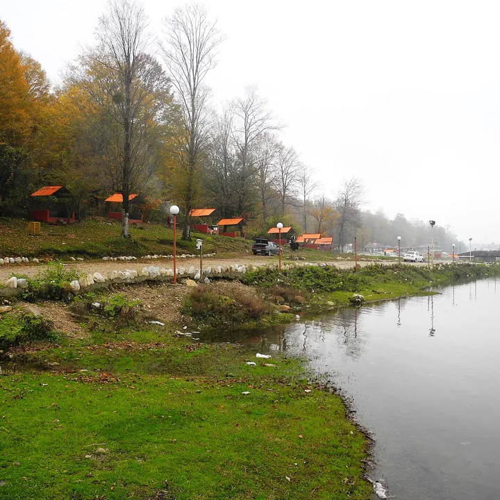 پارک جنگلی رویان in Mazandaran