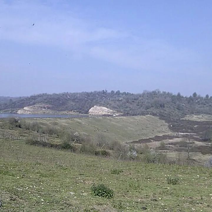 پارک جنگلی سد و دریاچه شیاده in Mazandaran