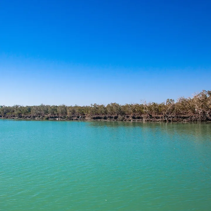 Azini Wetland in Hormozgan