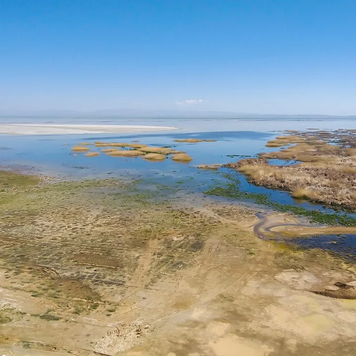 Meighan wetland in Markazi