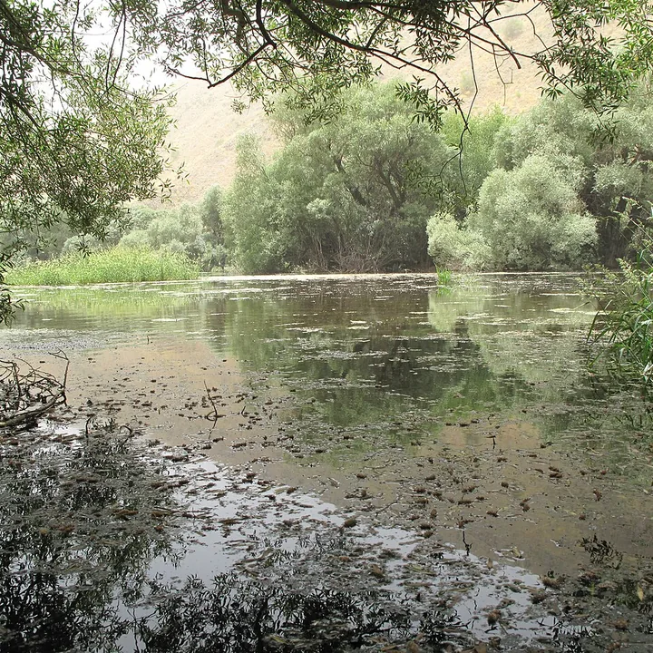 تالاب گهر کوچک in Lorestan