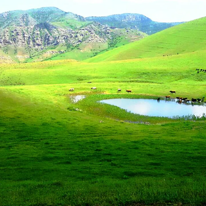 قالغانلو in Ardabil