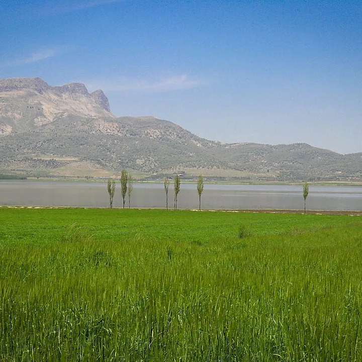 دریاچه ارژن in Fars