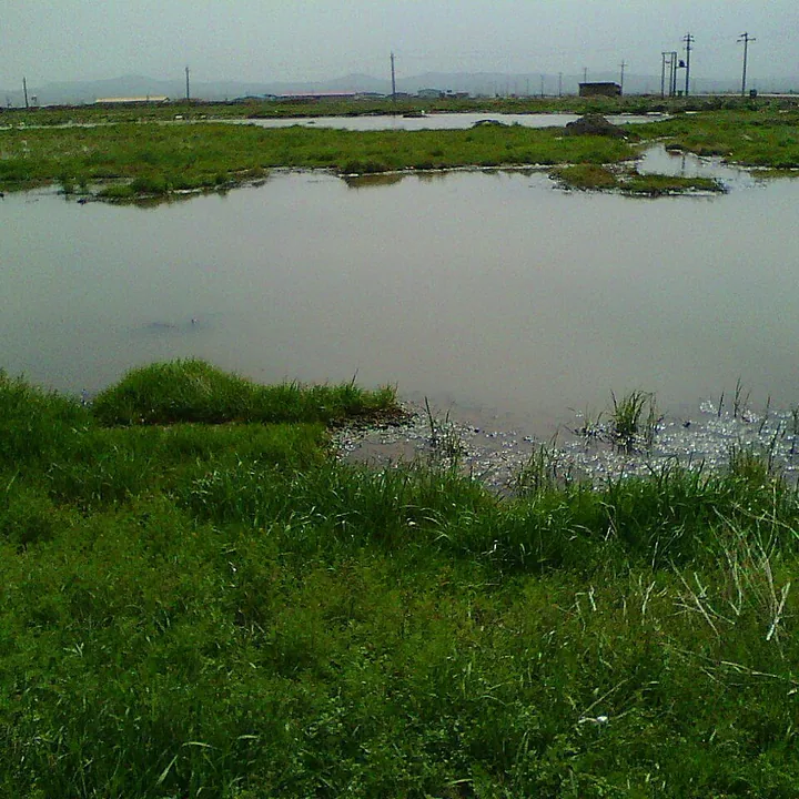 دریاچه زراومند in Hamadan