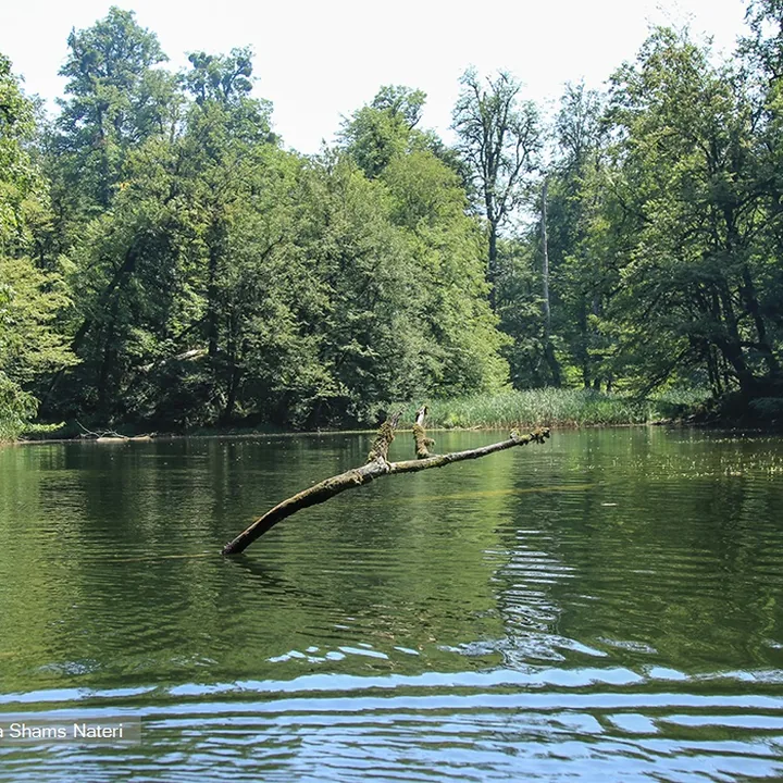 دریاچه فراخین in Mazandaran