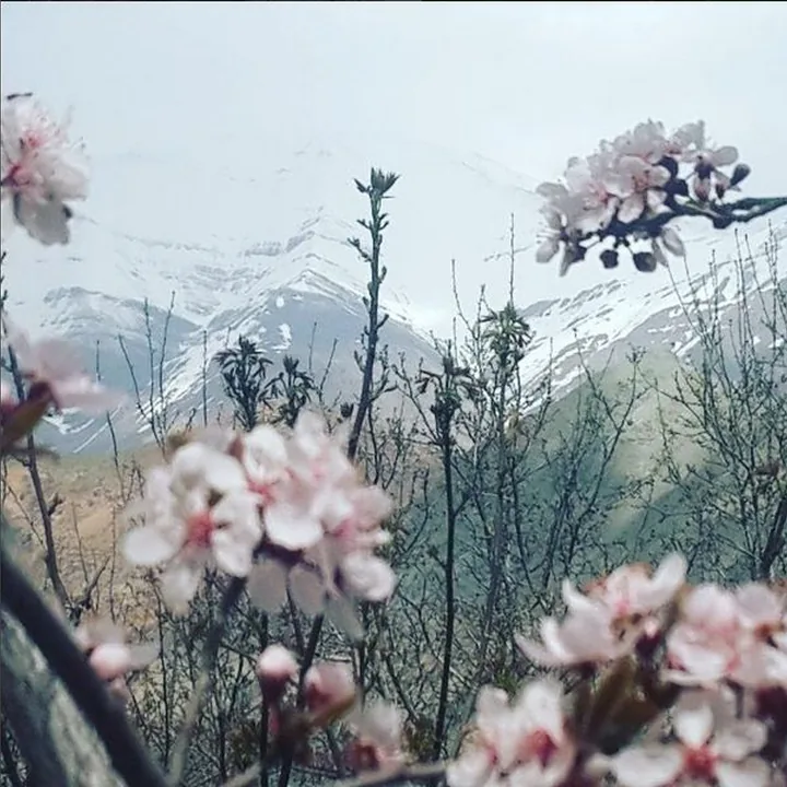 هفت خان in Alborz