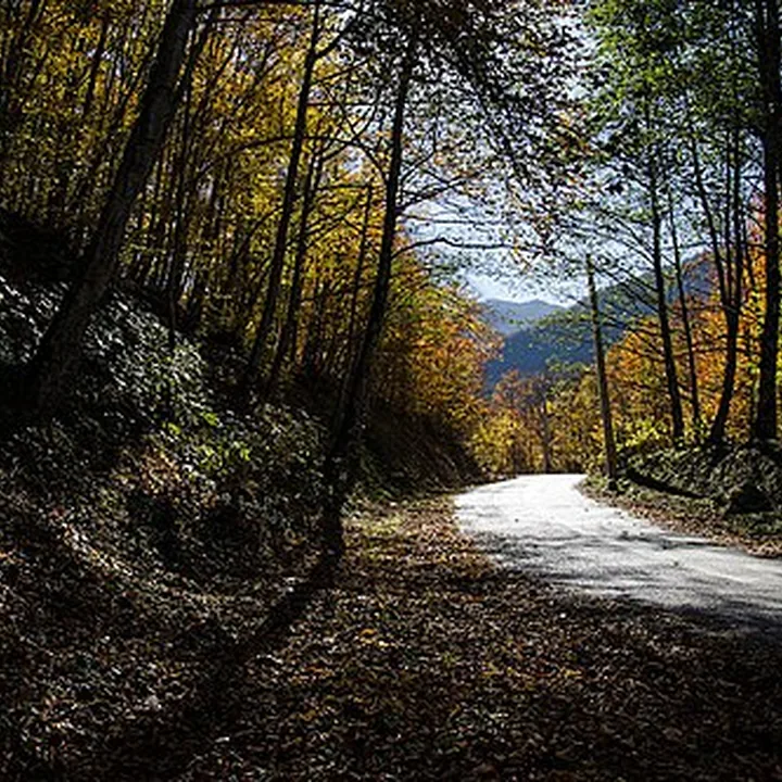 Vaz Protected Area in Mazandaran