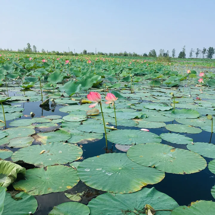 Selkeh Wildlife Refuge in Gilan