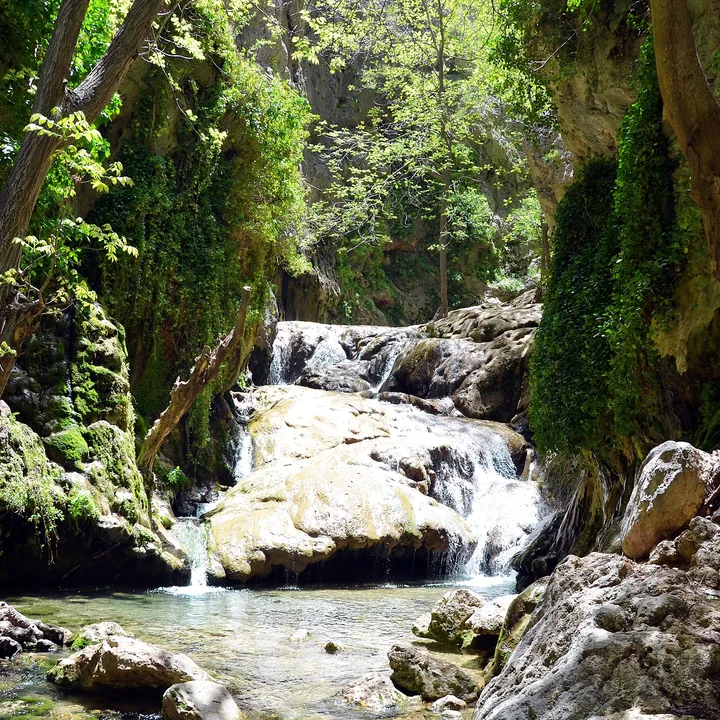 Tang-e Bastanak Protected Area in Fars