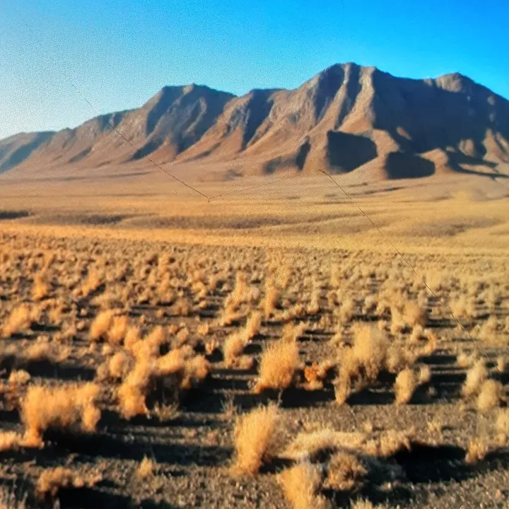 Ghamishlou Wildlife Refuge in Isfahan