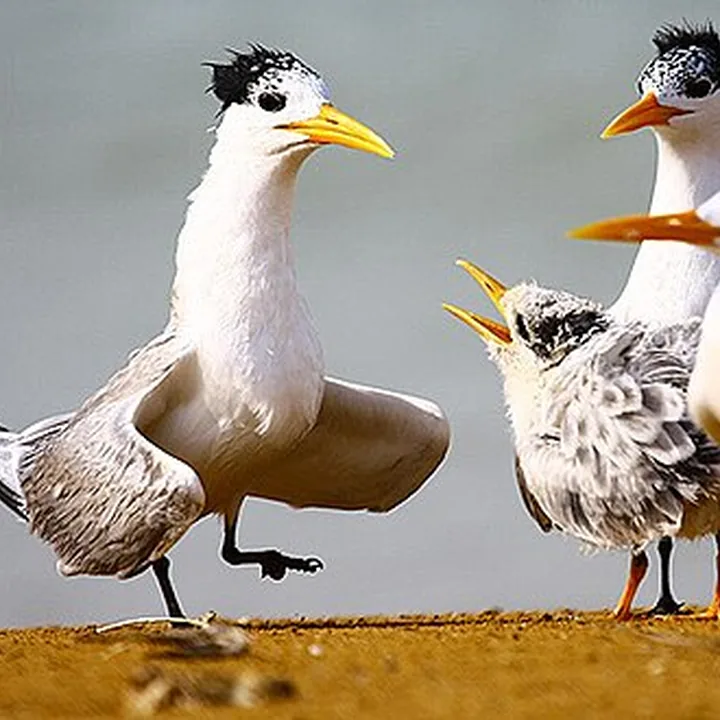 Mond Protected Area in Bushehr