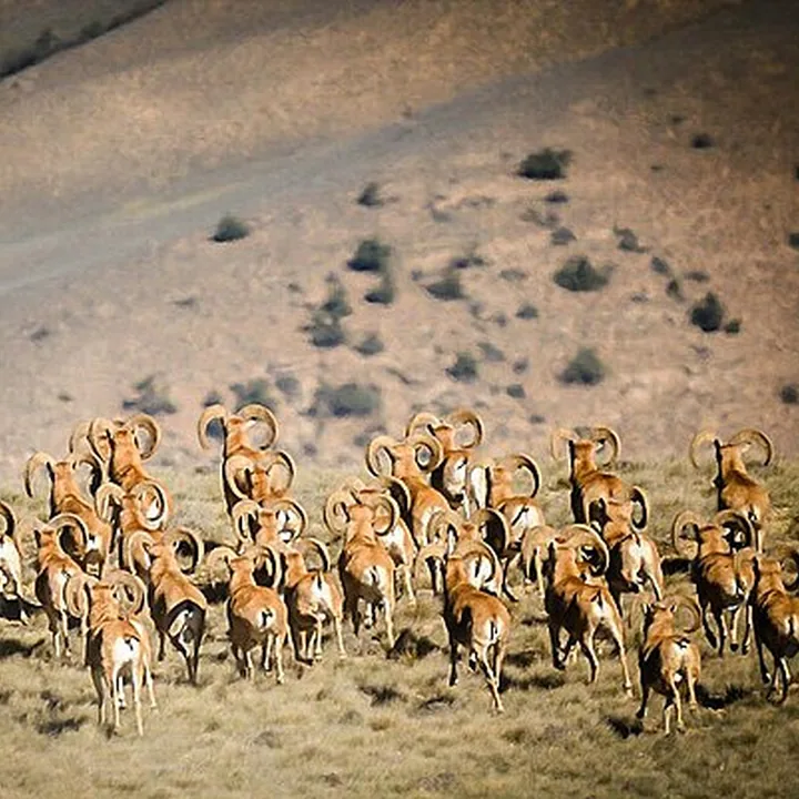 Khabr National Park in Kerman