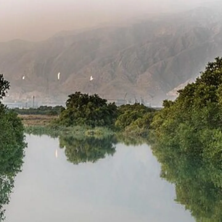 Nayband Marine-Coastal National Park in Bushehr