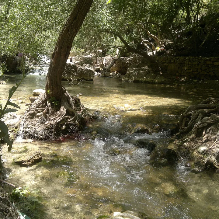 Margoon River in Fars