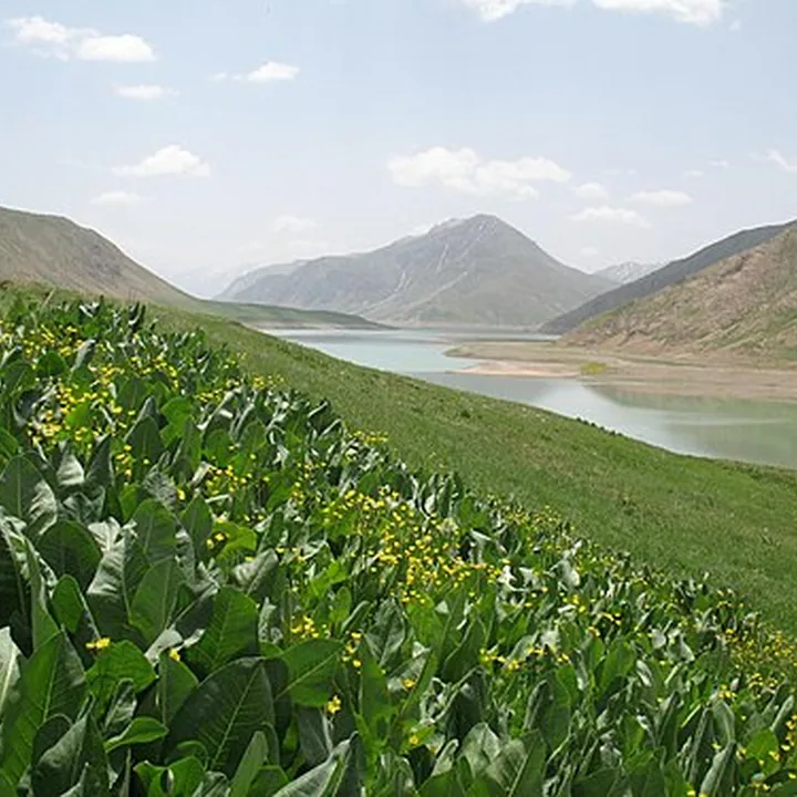 آب سفید in Mazandaran