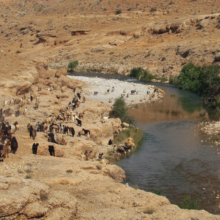Sefid River in Fars