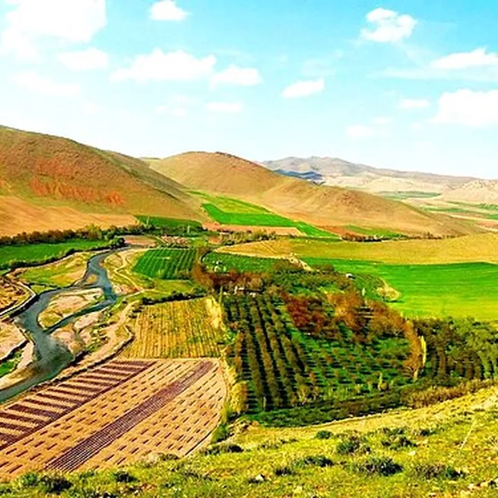 قوری چای in East Azerbaijan