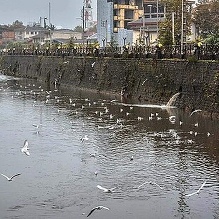 Zar Joub in Gilan
