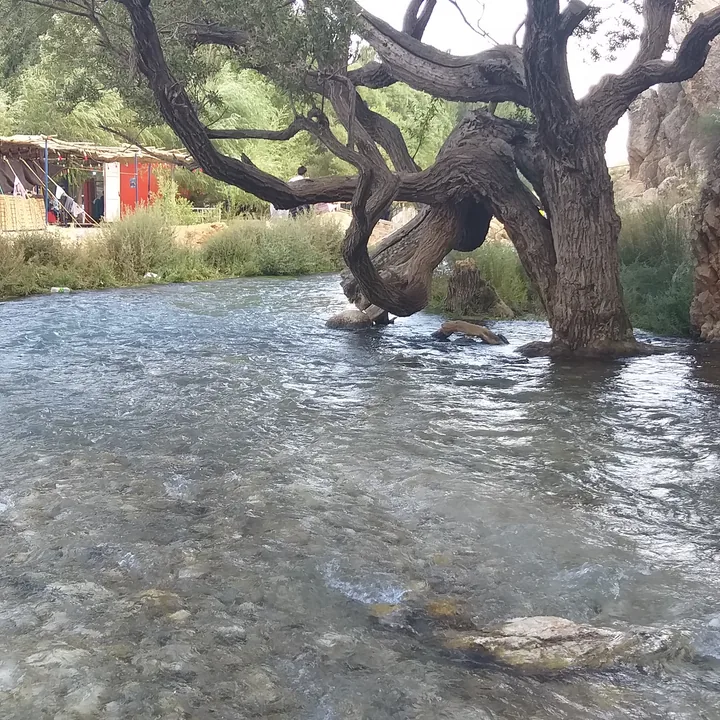 Sheshpir Spring in Fars