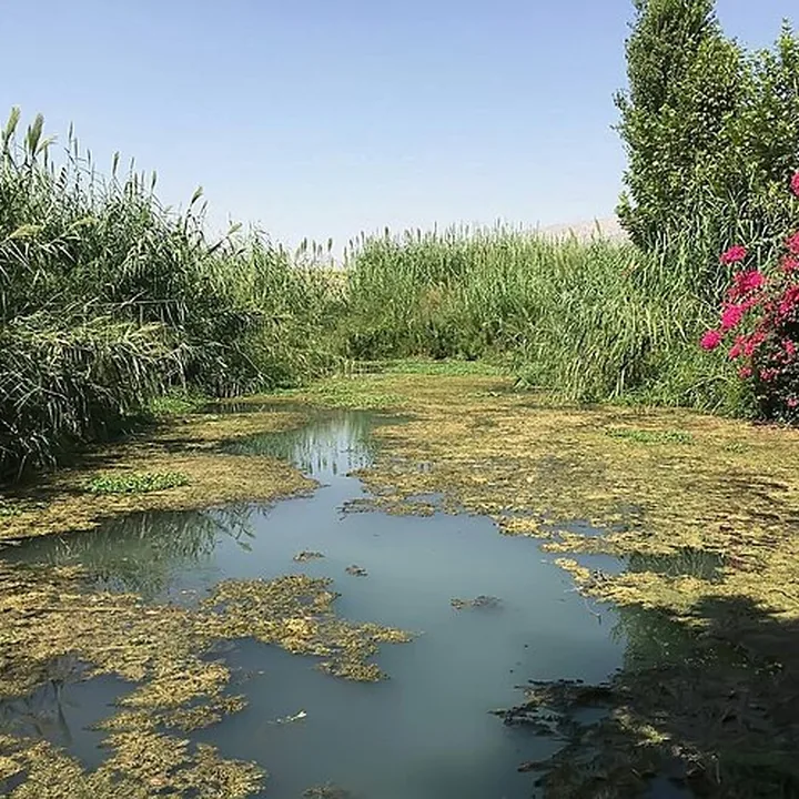 چشمه برکنا in Kohgiluyeh and Boyer-Ahmad