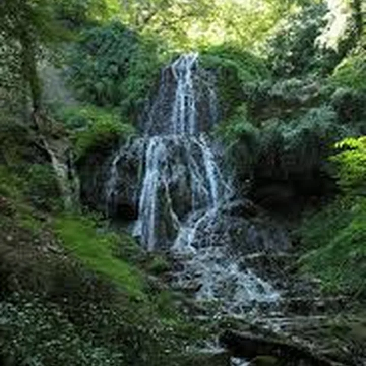 آبشار لاشو in Golestan