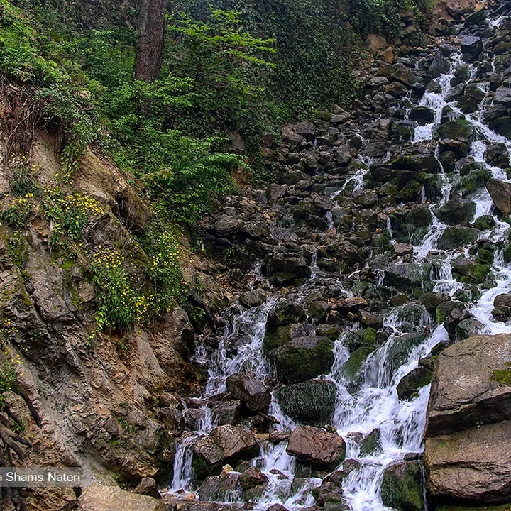 آب پری in Mazandaran