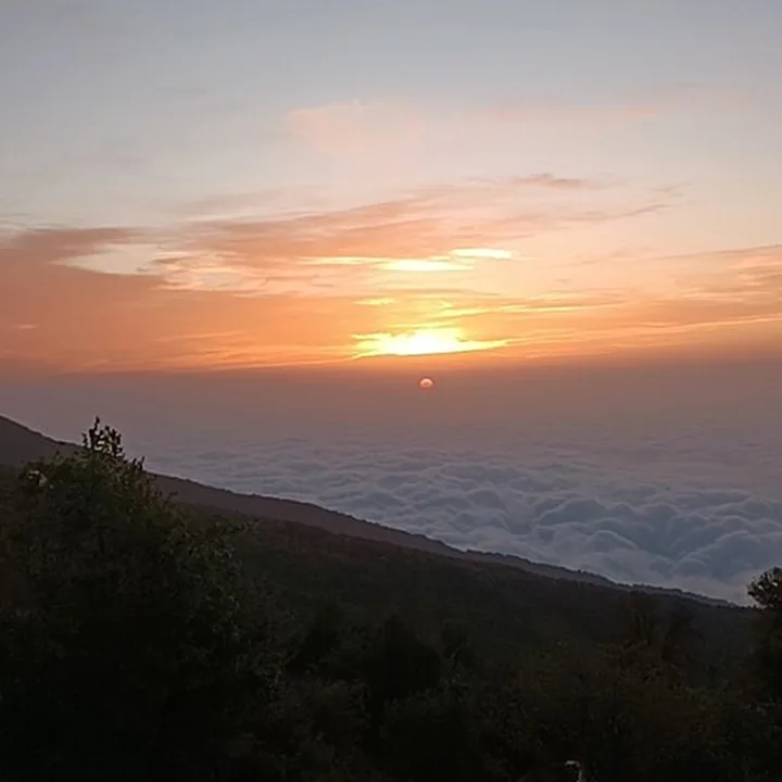 Jahan Nama Protected Forest in Golestan