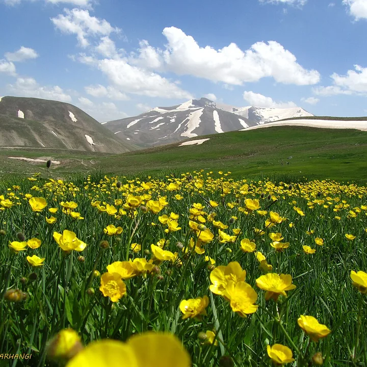 Kamal in East Azerbaijan