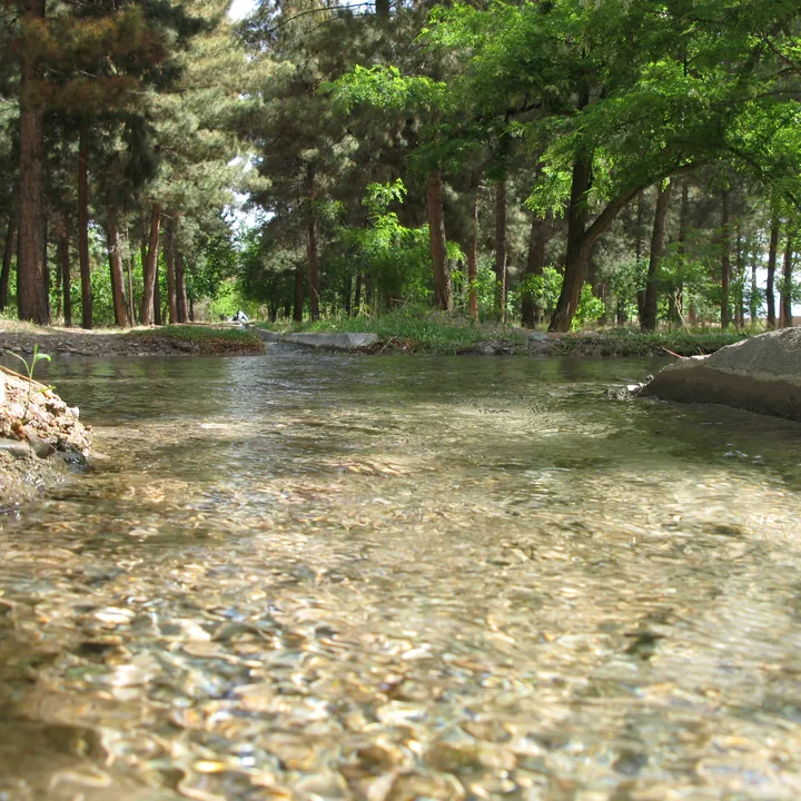 Khalilabad Forest Park in Razavi Khorasan