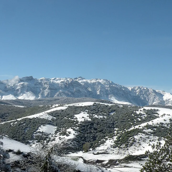 Khero Nero in Mazandaran