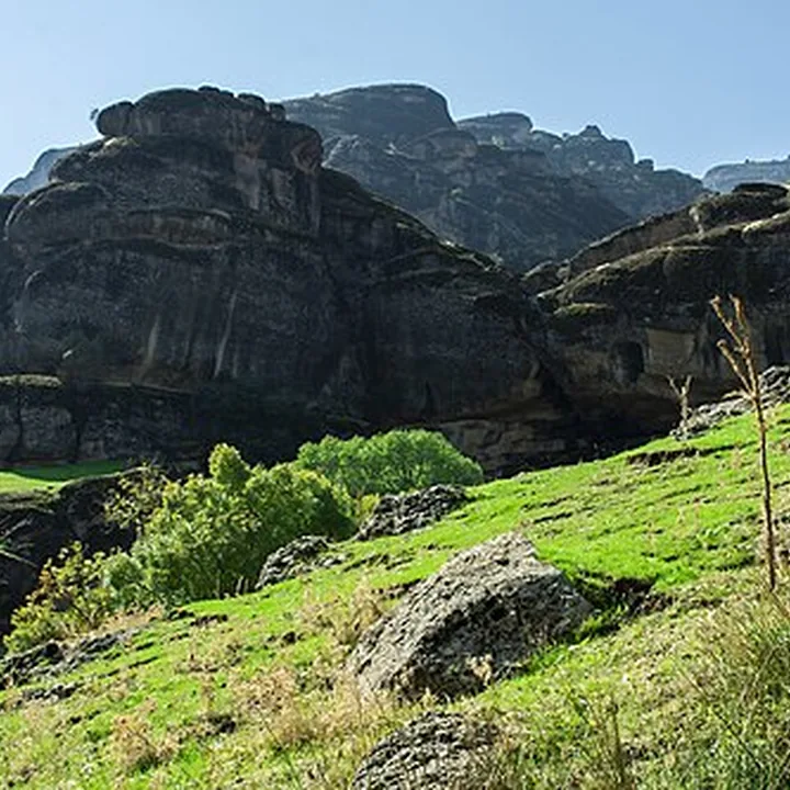 Makhmal Kuh Forest Park in Lorestan
