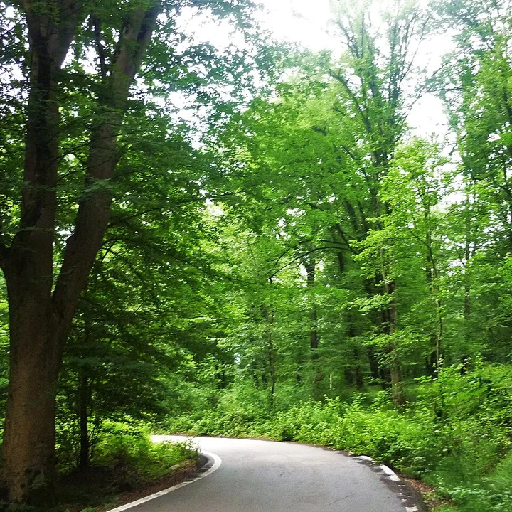 Mirza Kuchak Khan Forest Park in Mazandaran