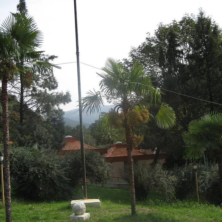 Naharkhoran Forest Park in Golestan