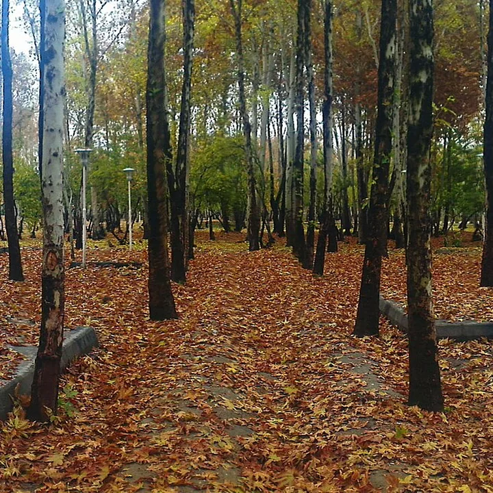 Nazhvan Forest Park in Isfahan