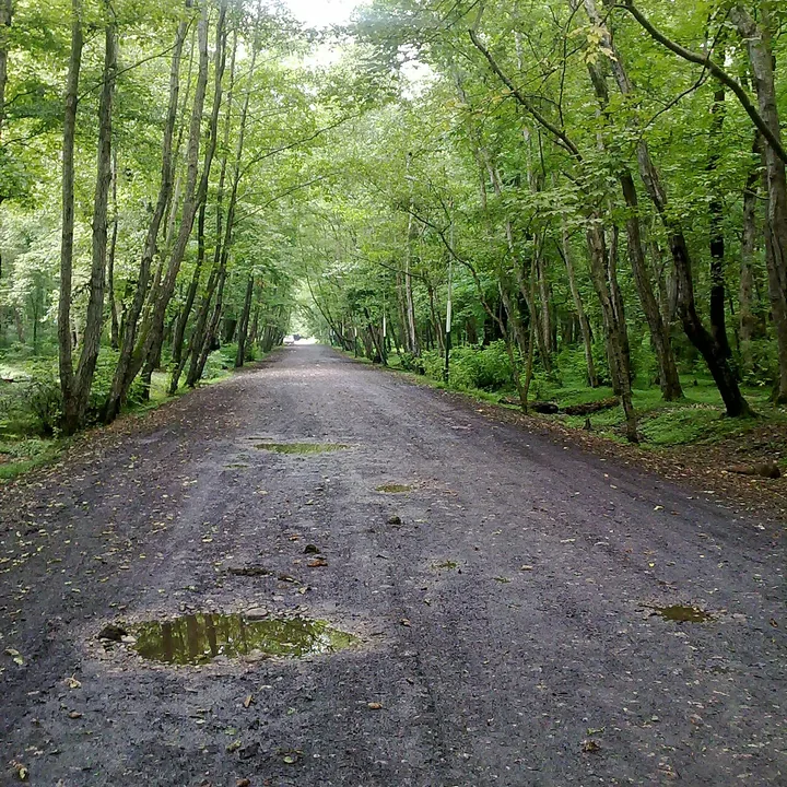 Nur Forest Park in Mazandaran