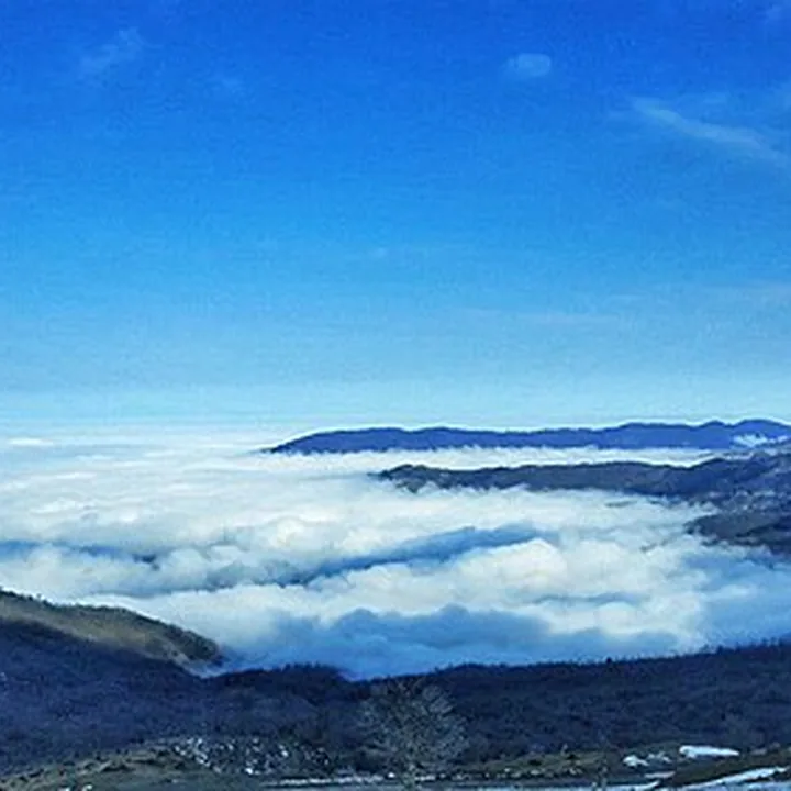 Olang Forest in Semnan
