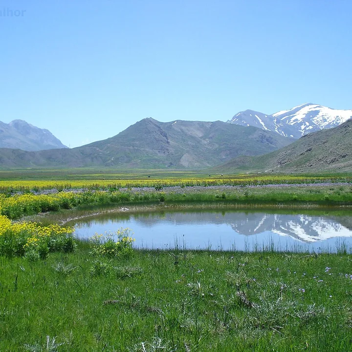 Pahnak in Mazandaran