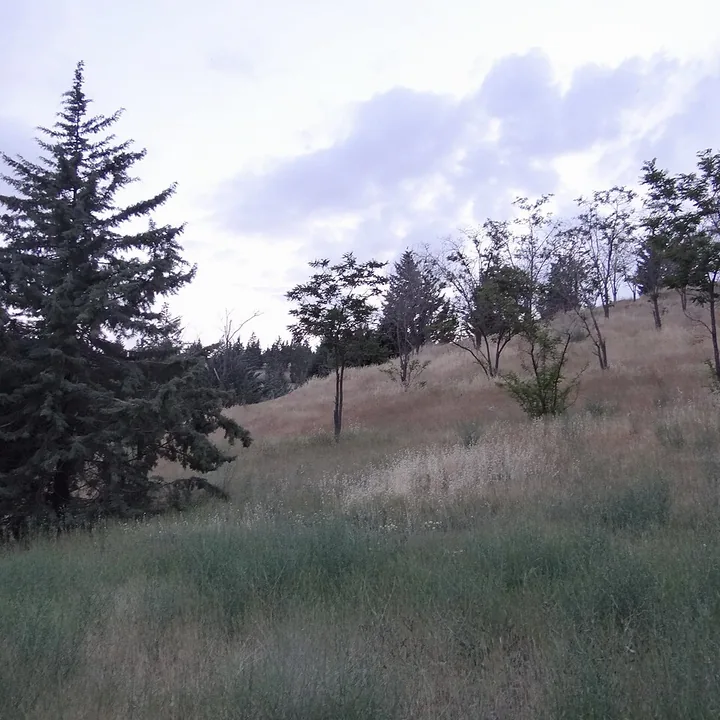 Pardisan Forest Park in Tehran