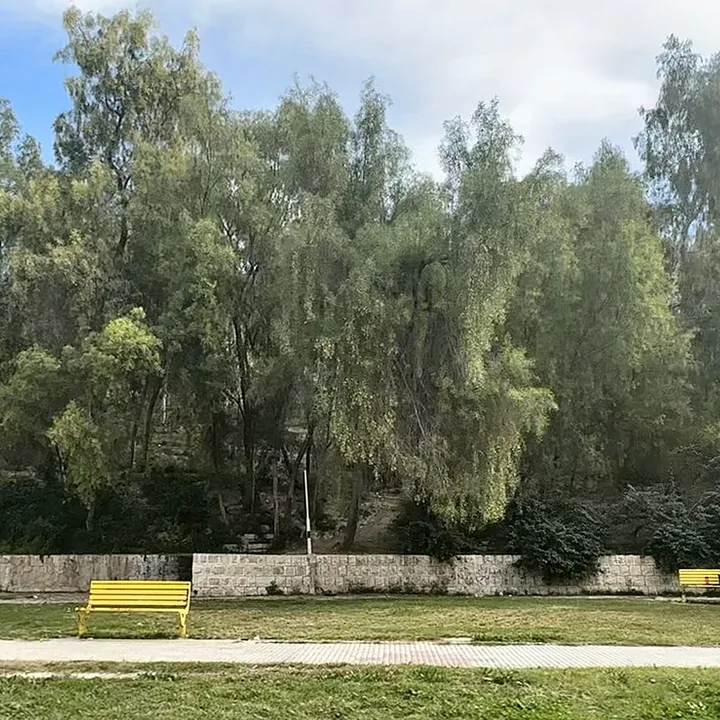 Sang Shah Forest Park in Fars