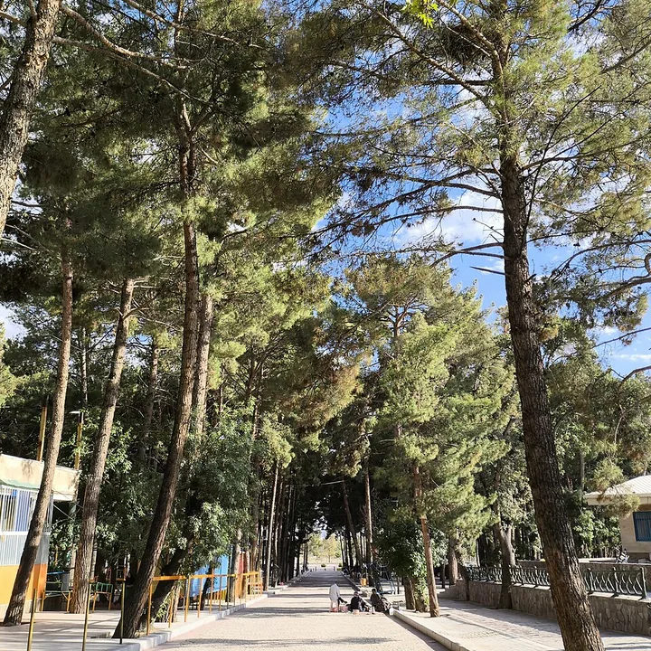 Seyyed Morteza Forest Park in Razavi Khorasan