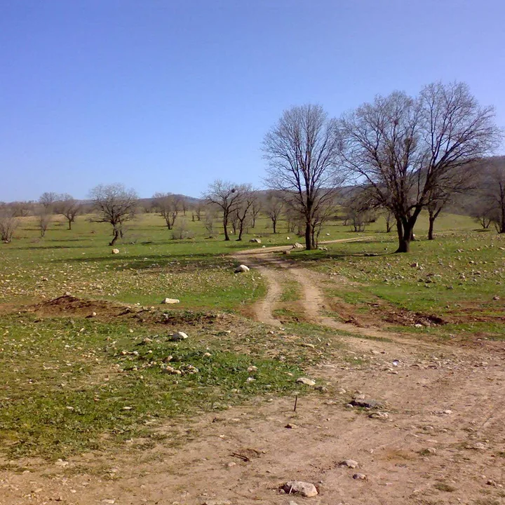 Shurab Forest Park in Lorestan